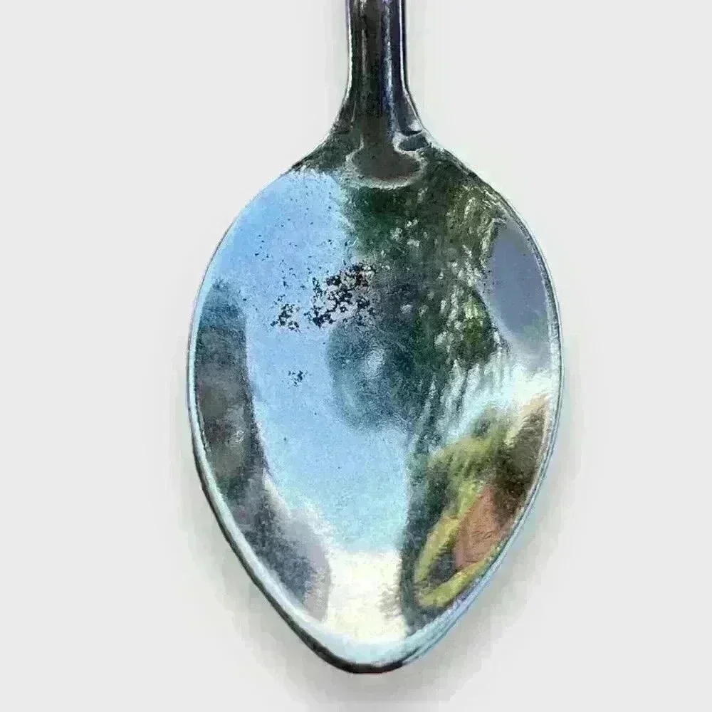 *5 for $15* Florida Sunshine State Sand Dollar Souvenir Spoon - Picture 3 of 5